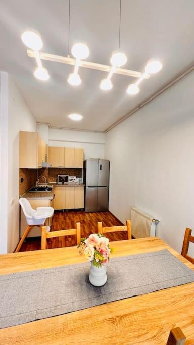 Otopeni Airport Apartment With Private Garden 외부 사진